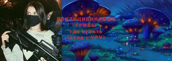 ПСИЛОЦИБИНОВЫЕ ГРИБЫ Сосновый Бор