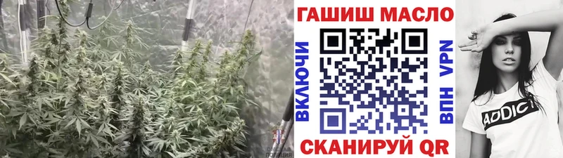мега вход  сколько стоит  Сысерть  Дистиллят ТГК Wax 