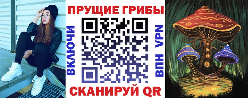 Псилоцибиновые грибы Psilocybine cubensis  KRAKEN зеркало  дарк нет какой сайт  Сысерть 
